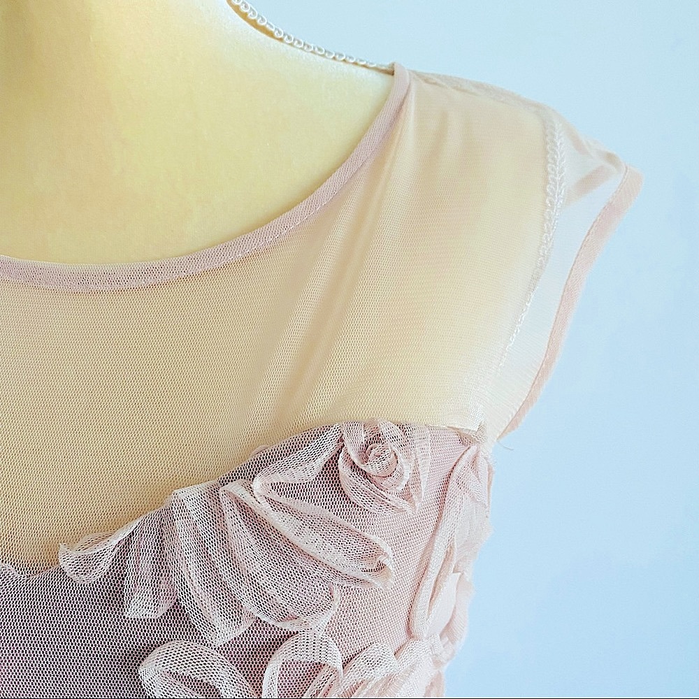 💕Fit and Flare Mesh Dress SZ S - Picture 8 of 15